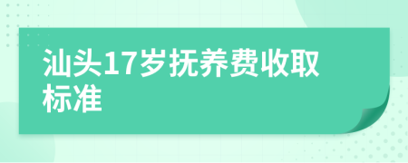 汕头17岁抚养费收取标准