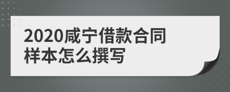 2020咸宁借款合同样本怎么撰写