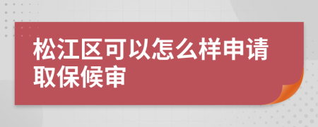 松江区可以怎么样申请取保候审