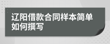 辽阳借款合同样本简单如何撰写