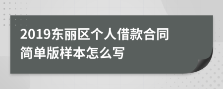 2019东丽区个人借款合同简单版样本怎么写