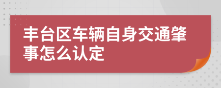 丰台区车辆自身交通肇事怎么认定