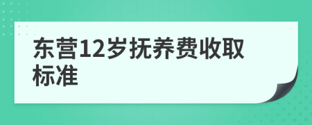 东营12岁抚养费收取标准