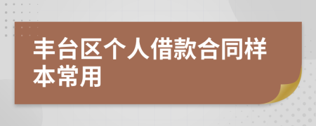 丰台区个人借款合同样本常用