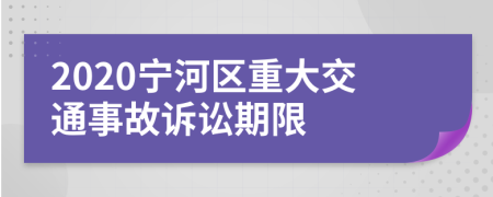 2020宁河区重大交通事故诉讼期限