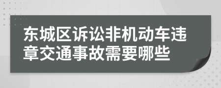 东城区诉讼非机动车违章交通事故需要哪些