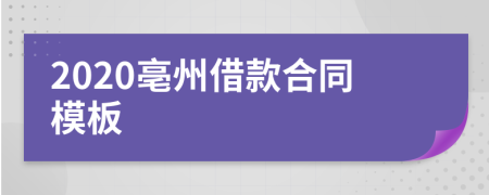 2020亳州借款合同模板