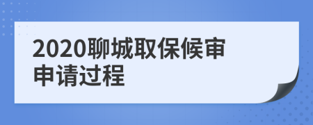 2020聊城取保候审申请过程