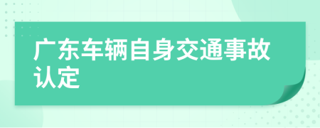 广东车辆自身交通事故认定