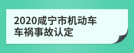 2020咸宁市机动车车祸事故认定