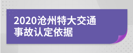 2020沧州特大交通事故认定依据