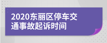 2020东丽区停车交通事故起诉时间