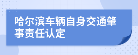 哈尔滨车辆自身交通肇事责任认定