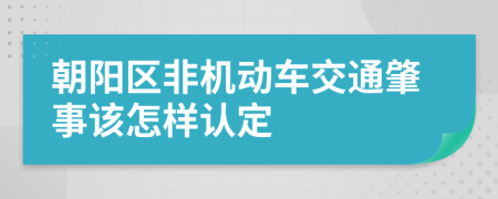 朝阳区非机动车交通肇事该怎样认定