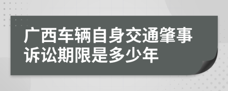 广西车辆自身交通肇事诉讼期限是多少年