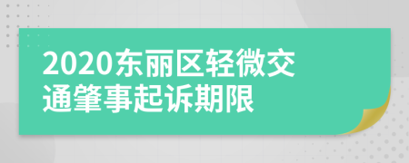 2020东丽区轻微交通肇事起诉期限