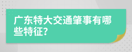 广东特大交通肇事有哪些特征？