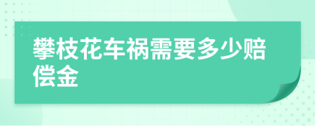 攀枝花车祸需要多少赔偿金