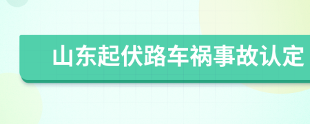 山东起伏路车祸事故认定