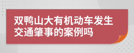 双鸭山大有机动车发生交通肇事的案例吗