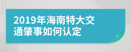 2019年海南特大交通肇事如何认定
