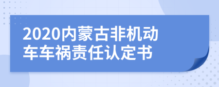 2020内蒙古非机动车车祸责任认定书