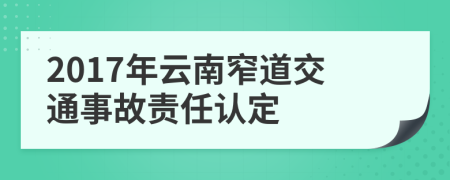 2017年云南窄道交通事故责任认定