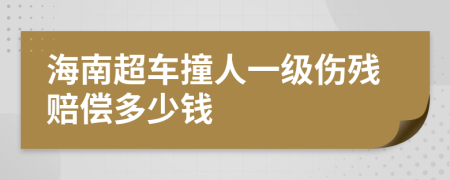 海南超车撞人一级伤残赔偿多少钱