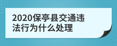 2020保亭县交通违法行为什么处理