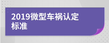 2019微型车祸认定标准