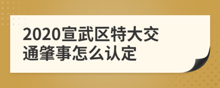 2020宣武区特大交通肇事怎么认定