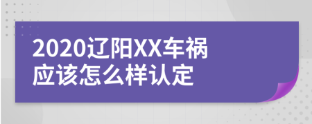 2020辽阳XX车祸应该怎么样认定