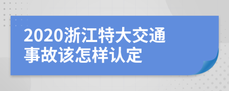 2020浙江特大交通事故该怎样认定