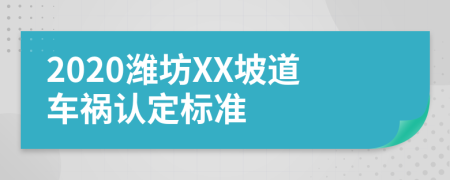2020潍坊XX坡道车祸认定标准