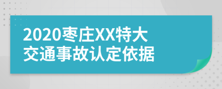 2020枣庄XX特大交通事故认定依据