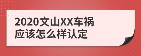 2020文山XX车祸应该怎么样认定