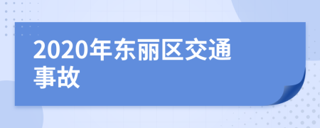 2020年东丽区交通事故