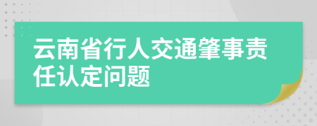 云南省行人交通肇事责任认定问题