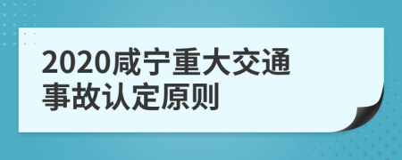 2020咸宁重大交通事故认定原则