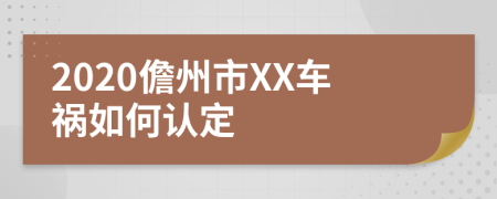 2020儋州市XX车祸如何认定