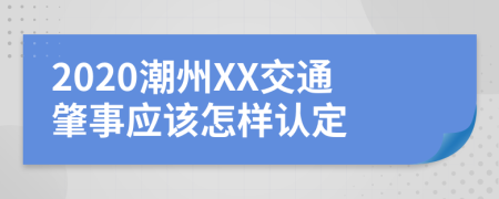 2020潮州XX交通肇事应该怎样认定