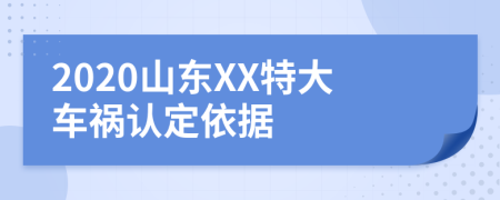 2020山东XX特大车祸认定依据