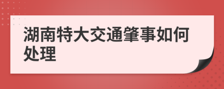 湖南特大交通肇事如何处理