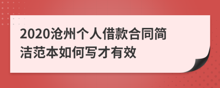 2020沧州个人借款合同简洁范本如何写才有效