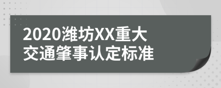 2020潍坊XX重大交通肇事认定标准