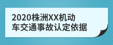 2020株洲XX机动车交通事故认定依据