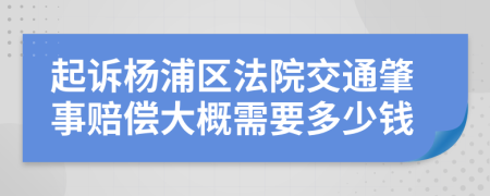 起诉杨浦区法院交通肇事赔偿大概需要多少钱