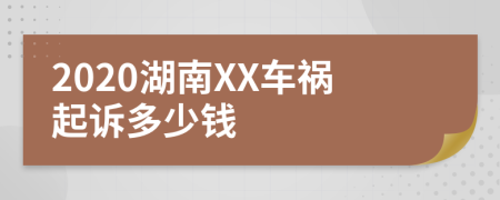 2020湖南XX车祸起诉多少钱