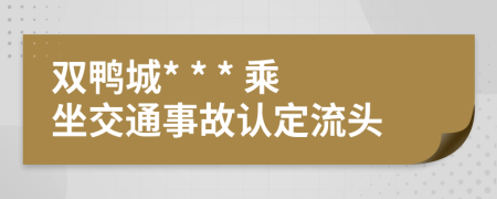 双鸭城* * * 乘坐交通事故认定流头