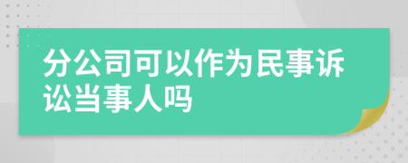 分公司可以作为民事诉讼当事人吗